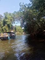 Pantanal de Rio de Janeiro