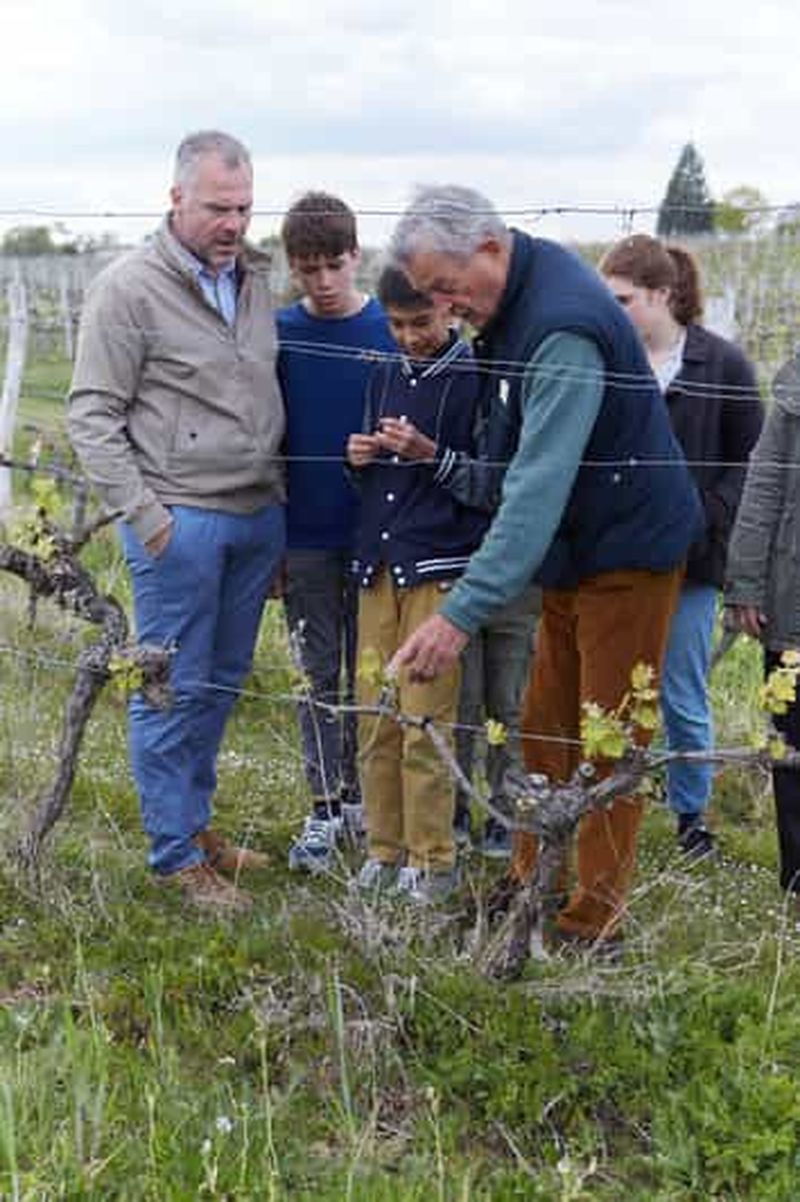 Visite guidée du Château Arton et dégustation d'Armagnac
