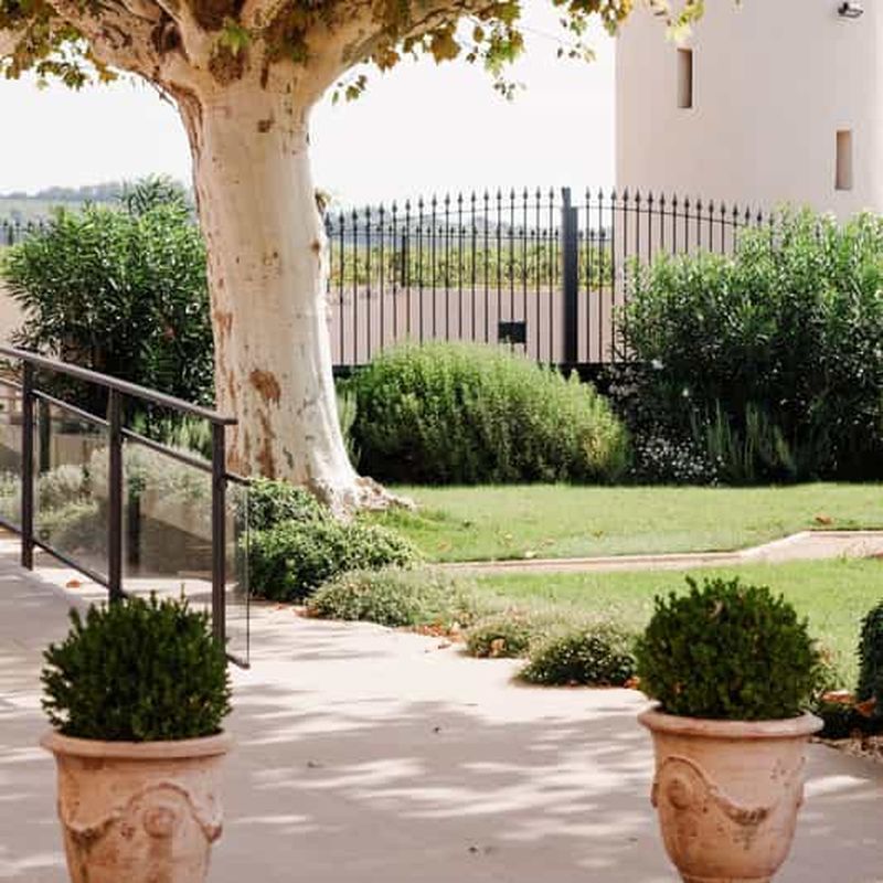 Châteauneuf-du-Pape : visite/dégustation au cœur du Domaine Tour St Michel