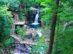 Visite d'une journée : Magome-juku, Tsumago-juku et chutes de Ryujin (depuis Nagoya)