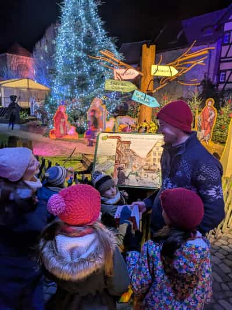 Au départ de Colmar : balade nature et visite de marché de Noël
