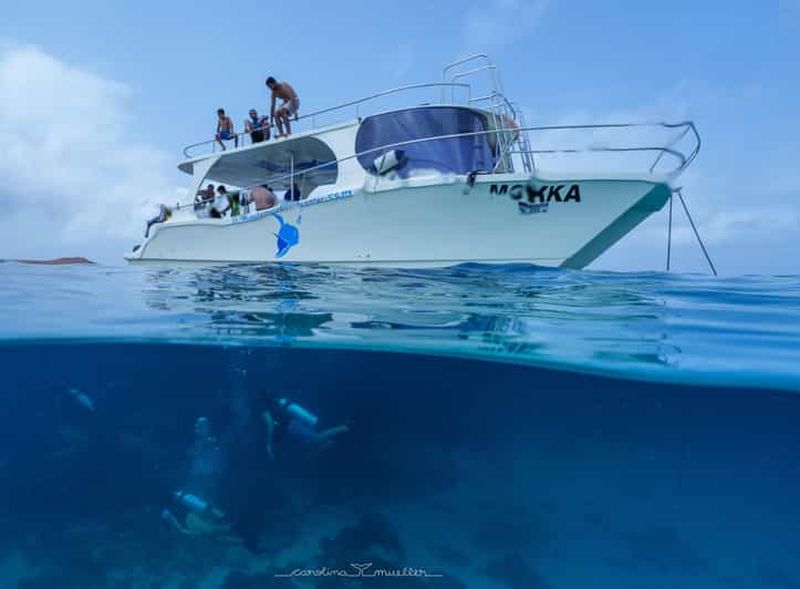 Mascate : excursion de snorkeling aux îles Daymaniyat et déjeuner barbecue