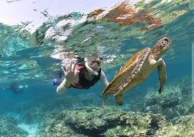 Mascate : excursion de snorkeling aux îles Daymaniyat et déjeuner barbecue