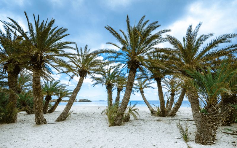 Plage exotique de Vai Palm Beach, monastère de Toplou et ville de Sitia