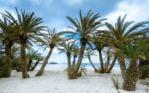 Plage exotique de Vai Palm Beach, monastère de Toplou et ville de Sitia