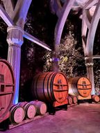 Visite privée dans les Alpilles, dégustations de vins et restaurant local