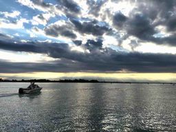 Venise : excursion en bateau entre murmures d'eau et lumière, une réalité à découvrir.