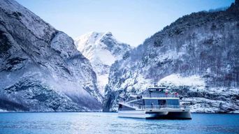 Excursion hivernale d'une journée à Bergen : croisière dans le Nærøyfjord, Flåm et Stegastein