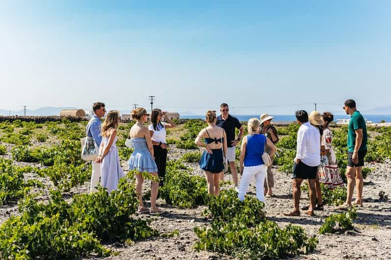 Santorin : visite des vignobles au coucher du soleil en petit groupe avec Santo Winery