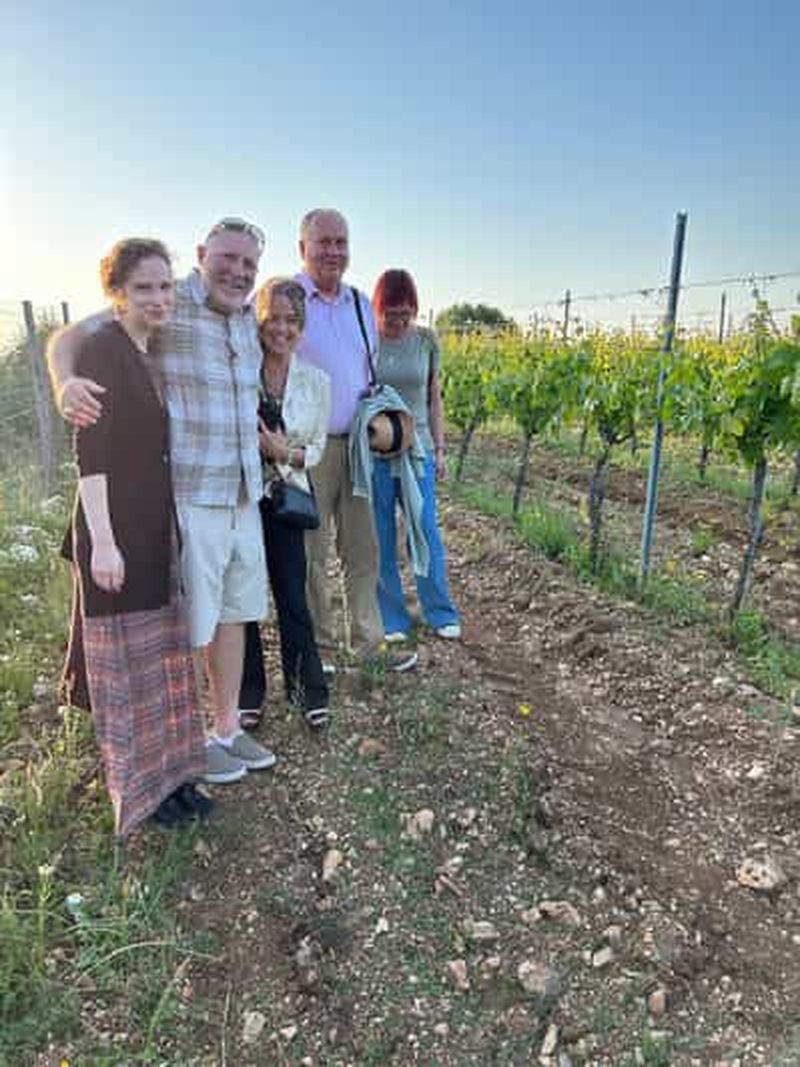 Vieste : Dégustation de vin et promenade dans les vignobles à Cantine Merinum