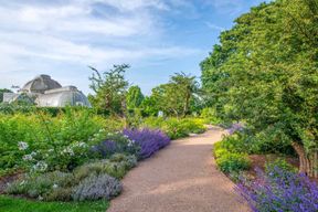 Londres : Billets d'entrée pour les jardins de Kew