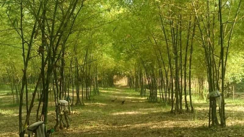 Visite d'une jounée à Albay Bicol par ZCHEDULISTA