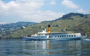 Lavaux : L'expérience du vignoble