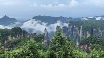 Parc national forestier de Zhangjiajie : Visite privée et transport