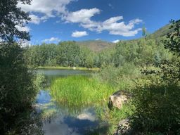 Aspen : randonnée légère guidée avec vue sur la rivière Roaring Fork