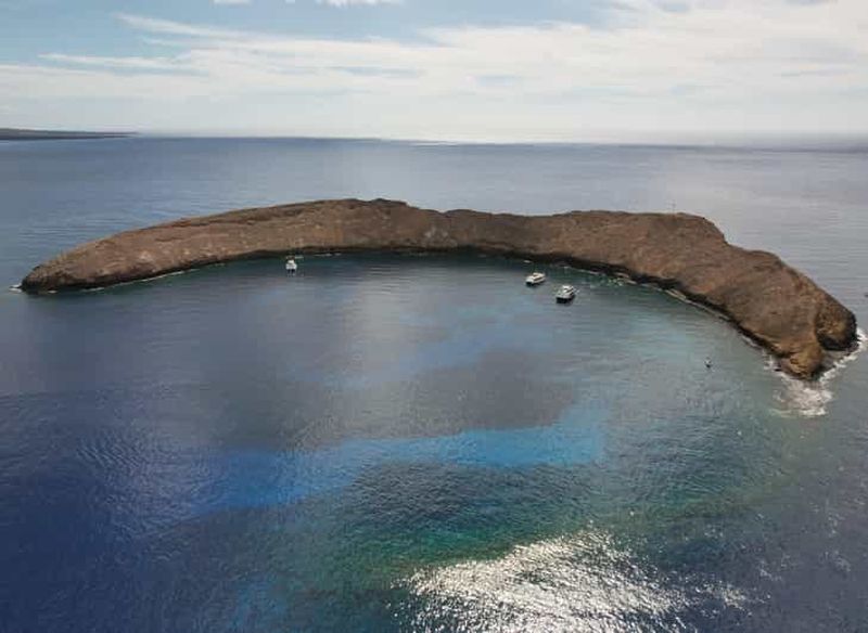 Snorkeling au cratère de Molokini et observation de baleines (du 15 décembre au 30 mars)