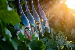 Visite d'une cave et dégustation de vins biologiques siciliens à Marsala