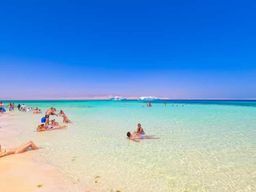 Depuis Charm : Ras Mohamed, snorkeling et plongée à White Island avec déjeuner