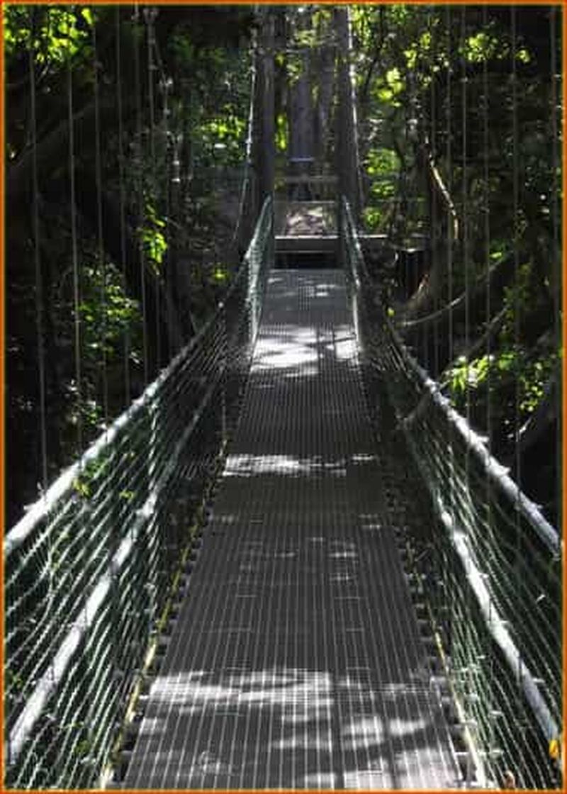 Île de Roatan : Visite d'une demi-journée à pied, en tyrolienne et sur la plage