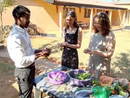 Livingstone : Tour de cuisine africaine avec déjeuner