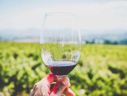 Sardaigne : Dégustation de vin et visite du village de Nuragic à Alghero