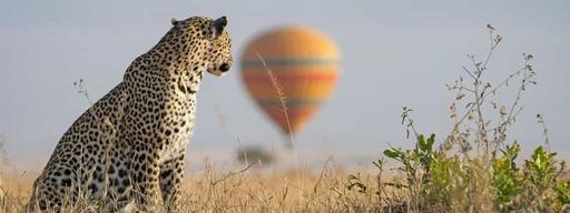 Depuis Nairobi : safari de 3 jours à Masai Mara en Jeep 4x4