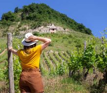 Lyon : visite de Pérouges et du Bugey avec dégustation