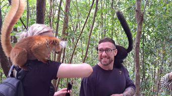 Excursion d'une journée à Nosy Be : lémuriens de Nosy Komba et plongée avec tuba à Tanikely