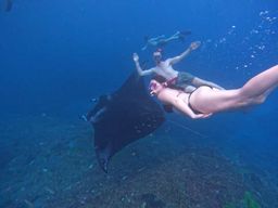 Nusa Penida : Plongée en apnée à Manta Point en bateau rapide