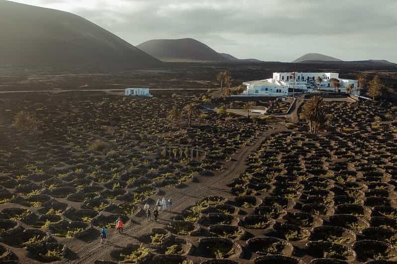 Lanzarote : Visite d'un vignoble avec dégustation de vin et de chocolat
