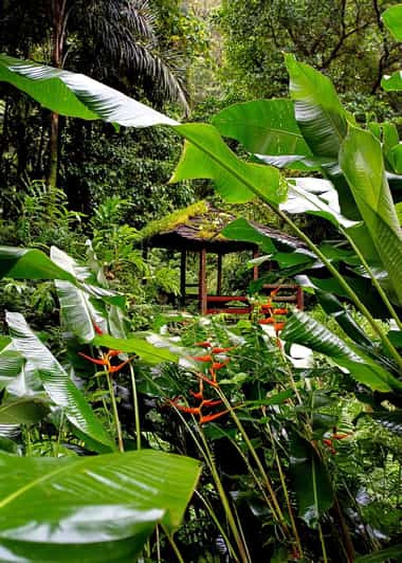 Circuit à la découverte de la Martinique : le Nord Caraïbe