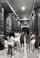 Dégustation de vin Saint-Florent & Patrimonio