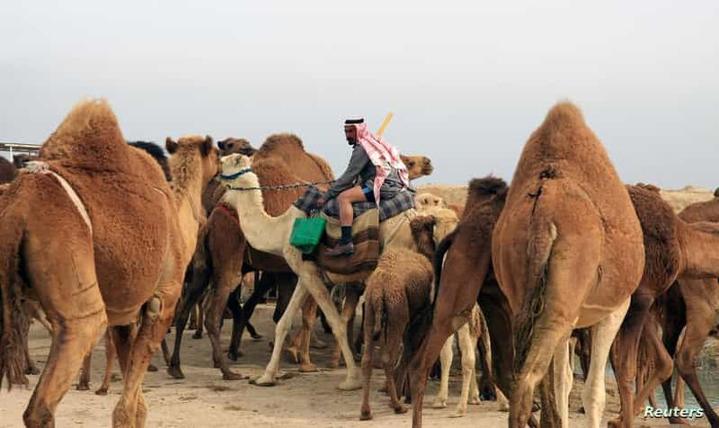 Jeddah : Expérience nocturne du mode de vie bédouin
