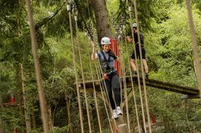 Betws-y-Coed : billet adulte ou enfant pour le Zip Safari dans les arbres