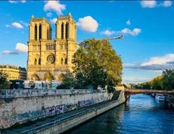 Visite à pied de Notre Dame Ile De La Cité et croisière sur la Seine