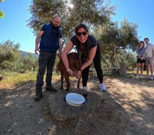 Crète : excursion en 4x4 : visite d’une ferme, cours de cuisine, poterie et déjeuner