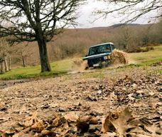 Depuis Cesarò : Excursion d'une demi-journée en 4x4 dans le parc des Nebrodi