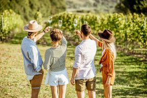 Sonoma Valley : Visite guidée d'un vignoble avec déjeuner pique-nique