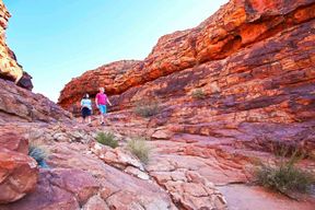 Kings Canyon : Visite d'une jounée au départ d'Ayers Rock Resort