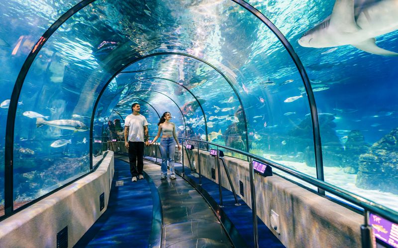 Billets coupe-file pour l'Aquarium de Barcelone