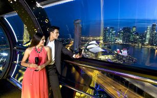 Expérience VIP Singapore Flyer avec champagne ou Singapore Sling