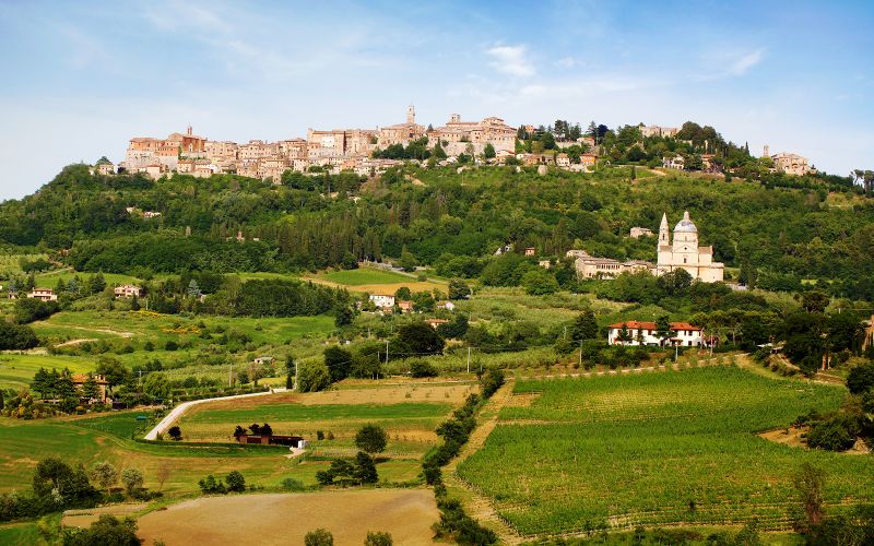 Chianti Classico, Montalcino, Montepulciano : Excursion d'une journée en minibus depuis Florence