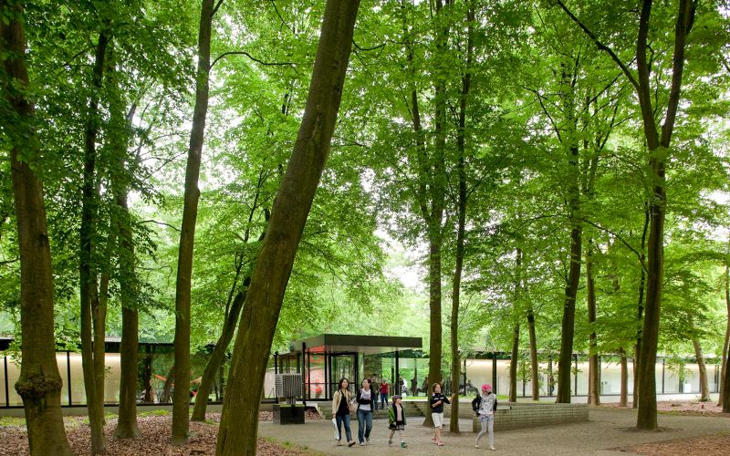 Visite guidée du musée Kröller-Müller et du parc national De Hoge Veluwe au départ d'Amsterdam