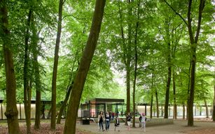 Visite guidée du musée Kröller-Müller et du parc national De Hoge Veluwe au départ d'Amsterdam