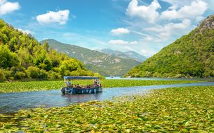Depuis Virpazar : Tour en bateau du lac Skadar et Forteresse de Grmožur avec boissons