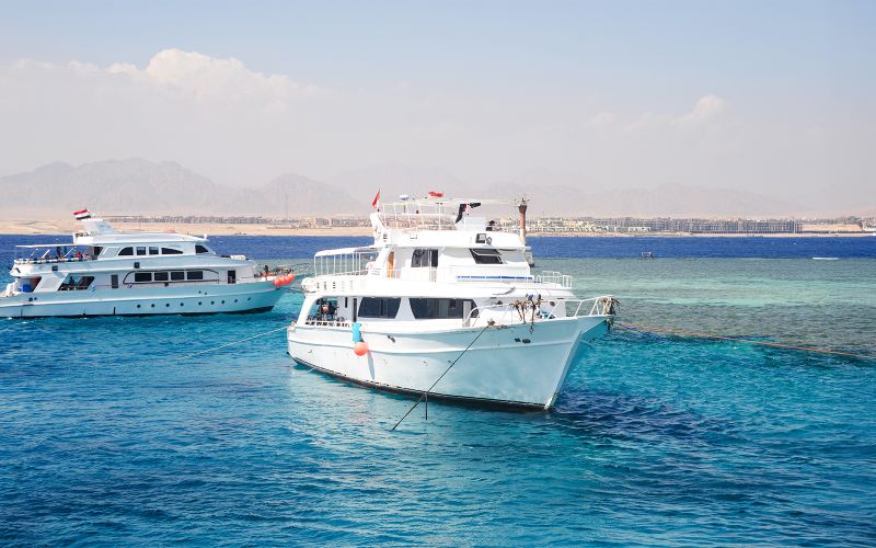 Depuis Sharm El Sheikh : Croisière sur l'île de Tiran avec plongée, tuba et déjeuner