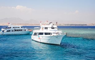 Depuis Sharm El Sheikh : Croisière sur l'île de Tiran avec plongée, tuba et déjeuner