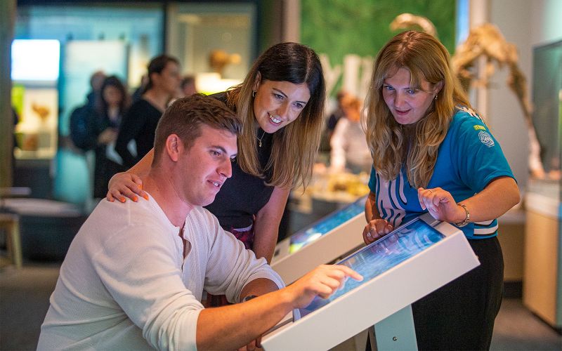 Billets d'entrée anticipée pour l'exposition Gallipoli au musée Te Papa Tongarewa