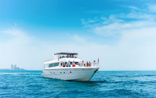 Depuis la marina de Dubaï : Croisière touristique de 1 h avec vue panoramique