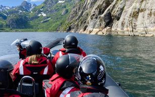 Au départ de Svolvær : Safari au Trollfjord des îles Lofoten en bateau pneumatique pour voir les aigles de mer